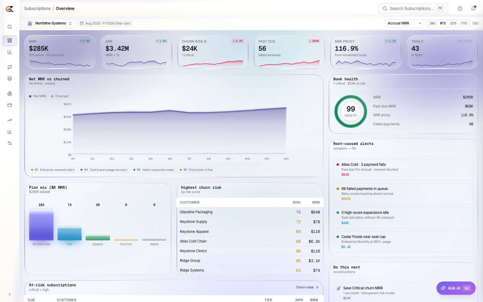CEDX Subscriptions overview: MRR $285K across 153 active subscriptions, ARR $3.42M, churn risk $24K with 1 critical, 56 past due and NRR proxy 116.9%.